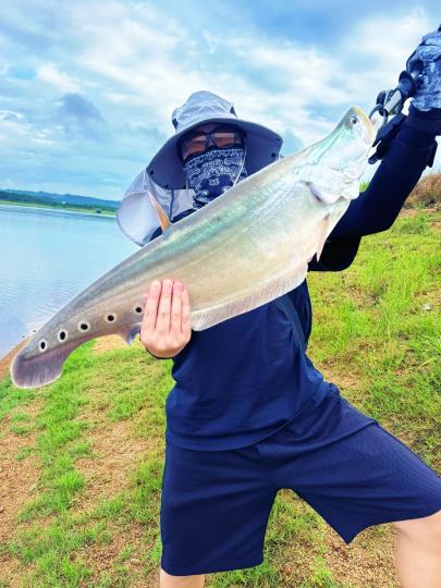 今天没想到居然解锁了七星刀。还这么大。真舒服啊！！！