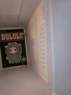 👀今日新品BULULU搪胶毛绒挂件盲盒～
基础纯色款高级有