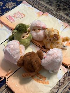 一共买了六个 全是盒机 一个隐藏成功一个财富一个智慧三个缘分