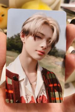 感觉有点模糊不知道真假