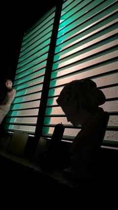 不寒而栗｜🌴Fear and Dream密室《素食者》
�