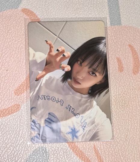 超级美丽的猫猫呀！！！我吸吸吸…白净的卡面真的很受我喜爱🥰