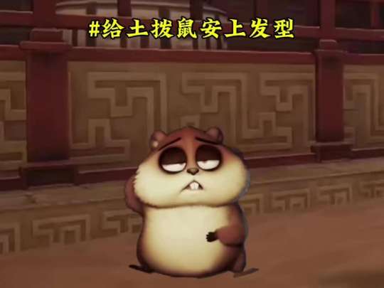 给土拨鼠安上发型#超自然行动组#闺蜜们都在玩超自然#超自然百万激励计划#抖音acg新春会 #万象风华