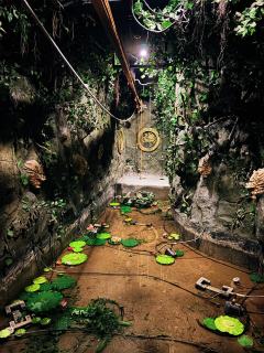 本来今天是来当摸金校尉的，怎么一进门那个叫九叔的就让我们帮他