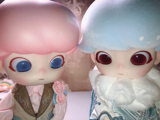 姜姜～以后是两个小伙伴啦！