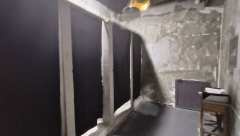 校园霸凌,一个看似老生常谈却始终未能根治的社会顽疾。在《返校