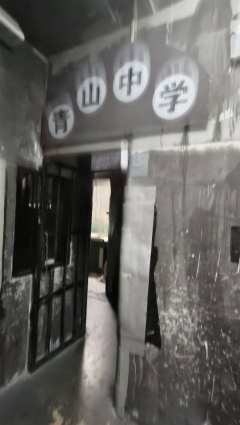 校园霸凌,一个看似老生常谈却始终未能根治的社会顽疾。在《返校