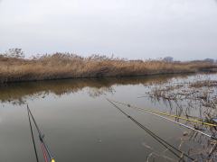 日期/时间：20260115
· 地点：牟汶河
· 天气与气