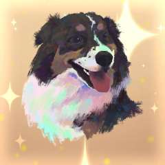 感谢老板的加急～