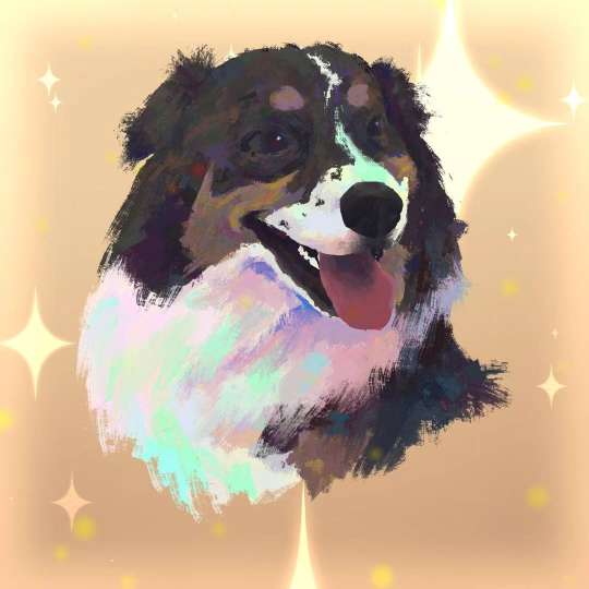 感谢老板的加急～