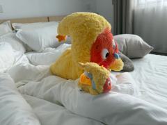 🦸星星人小超人在洱海上起飞啦！
🦸这款星星人挂件真的非常