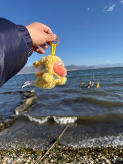 🦸星星人小超人在洱海上起飞啦！
🦸这款星星人挂件真的非常