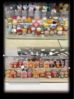 2025年～收官！收齐了所有小甜豆盲盒、萌粒、吊卡、大娃
2