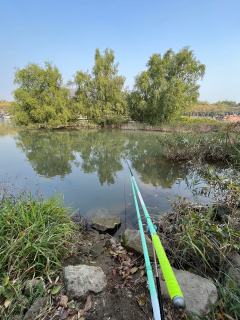 空军总结:降温前的滑铁卢
今日作钓,从日出守到日落,最终空