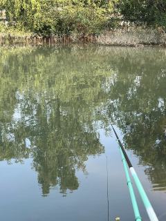 空军总结:降温前的滑铁卢
今日作钓,从日出守到日落,最终空