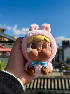 把粉色哭娃带到洱海，太阳照下来，眼泪发着光，毛绒绒的质感也特