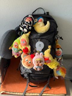 把粉色哭娃带到洱海，太阳照下来，眼泪发着光，毛绒绒的质感也特