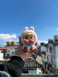 把粉色哭娃带到洱海，太阳照下来，眼泪发着光，毛绒绒的质感也特