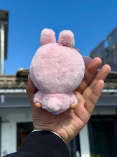 把粉色哭娃带到洱海，太阳照下来，眼泪发着光，毛绒绒的质感也特