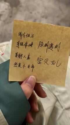 你总说我是您最爱的女儿 可是陈明遇你明知道我是满人 我偷了军