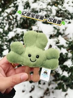 3只甜脸宝宝☘️
把希望、幸福和3倍好运全抱回家🫡
有它的