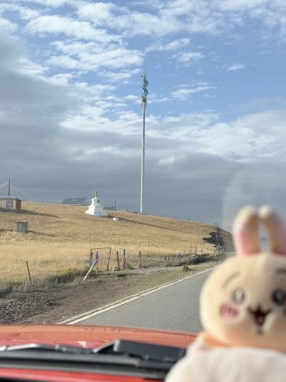 世界上最可爱的兔兔お誕生日おめでとう🎂