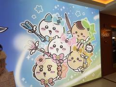 世界上最可爱的兔兔
お誕生日おめでとう🎂