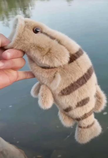 日期/时间： 2026-01-22
· 地点：棚板桥水库

· 天气与气压：阴天/1022百帕

· 路况与停车：小电驴能开进去，随便停

· 饵料：塑料

· 收获与心得：天气大降温，人都要多穿点更