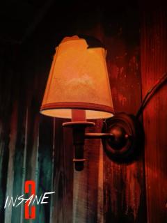 📝📝📝信息📝📝📝
✅主题：INSANE2
✅类型