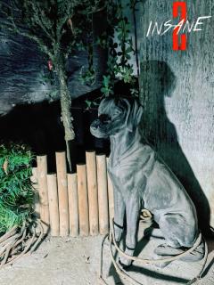 📝📝📝信息📝📝📝
✅主题：INSANE2
✅类型