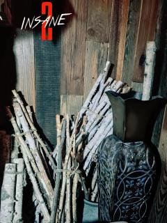 📝📝📝信息📝📝📝
✅主题：INSANE2
✅类型