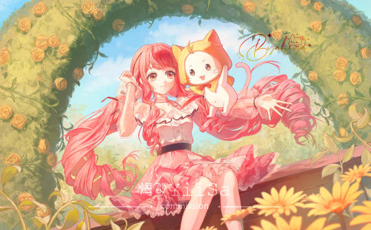 是私人稿件不能用哈