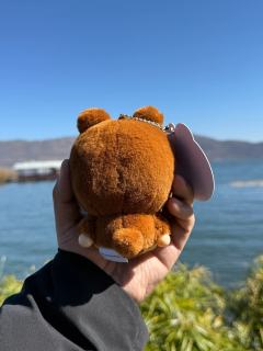 2026年的第一只娃娃是这款超可爱的哭娃！！质感是毛绒绒的，