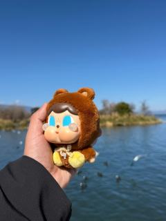 2026年的第一只娃娃是这款超可爱的哭娃！！质感是毛绒绒的，