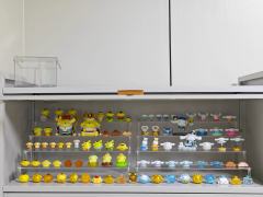 去年12月低入坑 看看这两周的成果