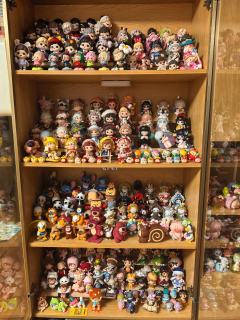 书柜里的，罐子里的萌粒还没展示，主打铺天盖地。