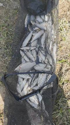 喜欢冬季野钓的家人们注意了,野钓不懂太阳对水