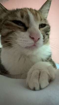 诚招闺蜜一枚！能陪我去livehouse蹦迪，也能一起冲健身