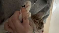 诚招闺蜜一枚！能陪我去livehouse蹦迪，也能一起冲健身