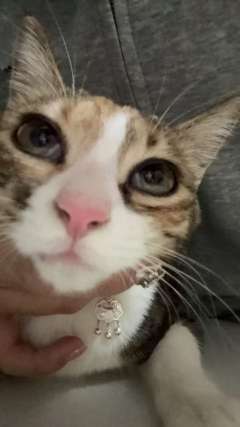 诚招闺蜜一枚！能陪我去livehouse蹦迪，也能一起冲健身