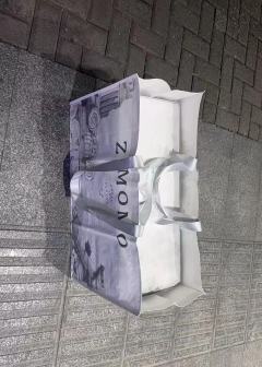 大天使zimomo 泡泡玛特THE MONSTERS ANG