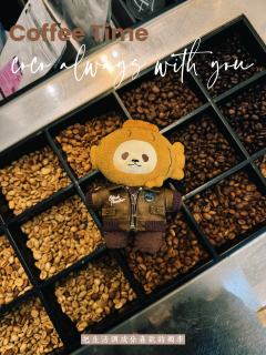 超爱coco
也很爱喝咖啡
不工作的时候
就带着他探店
co