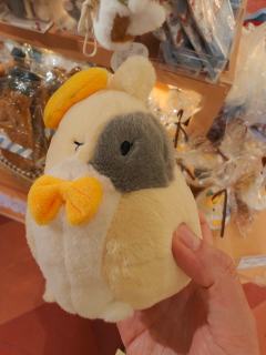 超级超级可爱！