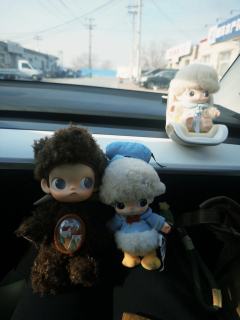 29岁生日礼物🎁