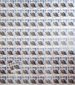 不吃谷其实可以幸福很多 骗你的吃谷会让我更幸福