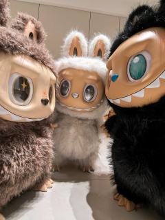 新成员到啦～整整齐齐一家人💖