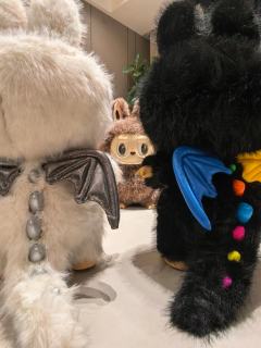 新成员到啦～整整齐齐一家人💖