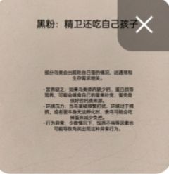 挑战澄清10位非人哉角色—精卫
（不喜勿喷）