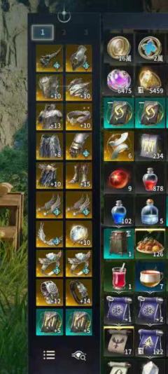 天十半套手工3168弓星带个2853护法还有个满级全清守护，