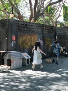  双轨正式收官
谢谢你成为姜暮 谢谢你演员虞书欣 希望姜暮一